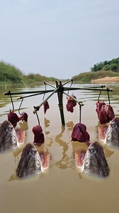 Amazing Fishing trapping system. Best fish catching river under water big fish catching techniques. #fish #fishing #reel #river | Fisherman Animal Lover-Original