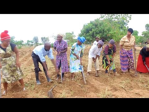 BONGOZOZO NEKUPFIMBANA KUMARICHO ZIM COMEDY