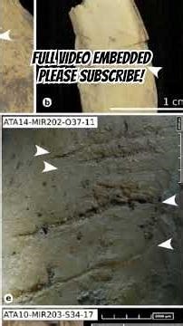 NEOLITHIC CANNIBALS ‘ate their enemies in Stone Age rituals’ #neolithic #archaeology #stoneage