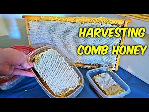 Harvest Honey - Part 3