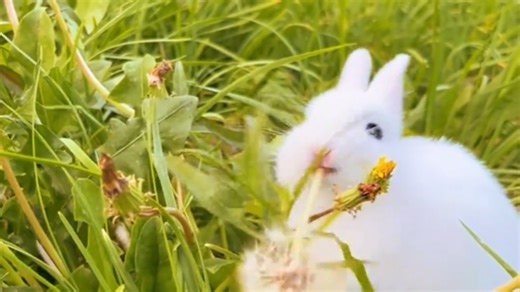 来吃自助餐了！