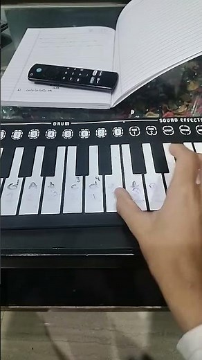 Hedwigs theme on piano.