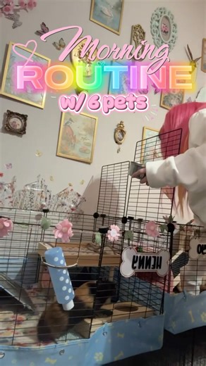 morning routine with all my pets!💗 (even tho i do more just cut it out 😭) #enchanteddizzyszoo