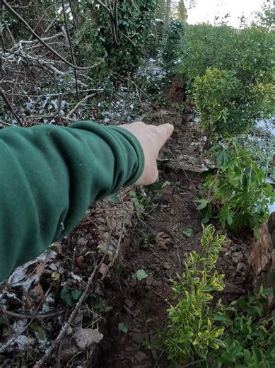 Mastering Bricklaying Techniques for Beginners