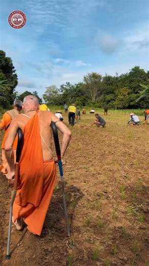 “The foundation of a sustainable village is not industry, but regulated living aligned with nature, cows, land, and devotional culture.” – Village Guide Manual, H.H. Bhakti Raghava Swami #bhaktiraghavaswami #krishnaconsciousness #cowprotection #sustainableliving #vediclifestyle | Bhakti Raghava Swami