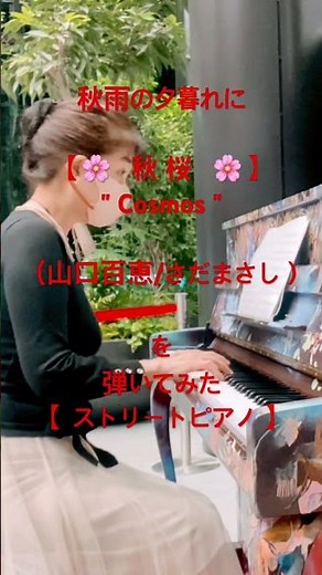 秋雨の夕暮れ【秋桜】"Cosmos"（山口百恵/さだまさし）を弾いてみました【ストリートピアノ】コモレ四谷