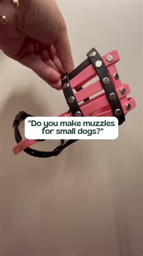 Yes. Small dogs need muzzles too 🐶 We make handmade muzzles for small breeds, toy breeds, and dogs with short snouts or slim faces not just scaled down versions of big dog muzzles. ✔️ Lightweight and comfortable ✔️ Proper airflow and pant room ✔️ Custom sizing for tiny faces ✔️ Made for training, vet visits, grooming and safety If you’ve ever struggled to find a muzzle that actually fits a small dog, this is for you 🤍 #smalldogmuzzle #tinydog #customdogmuzzle #dogmuzzle #positivedogtraining