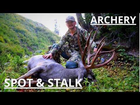 Determined | A 7-day archery mule deer hunt
