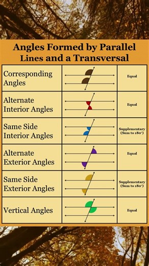 Angles formed by parallel lines and a transversal|Parallel lines and transversal