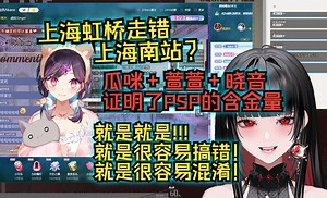 萱师傅看晓音姐自述坐火车“上海虹桥跑错上海南站”：就是很容易搞混啊！就是很容易坐错啊！【红晓音Akane﻿\u002F萱萱卡娅kaya﻿】