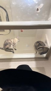 This was such a fun day🇬🇧 #americanintheuk #england #uk | Savannah Vlogs