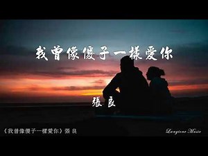 我曾像傻子一樣愛你 Wo zeng xiang sha zi yi yang ai ni 張良 Zhang Liang #動態歌詞 Pinyin/Lyrics Music