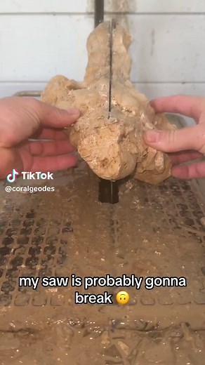 Exploring the Mysteries of Ancient Coral Geodes