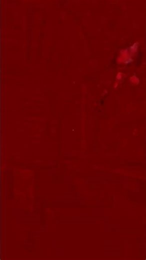 Amnesia: The Dark Descent | My Death :(