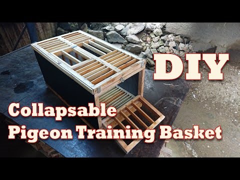 DIY Pigeon Training Basket / Training Box