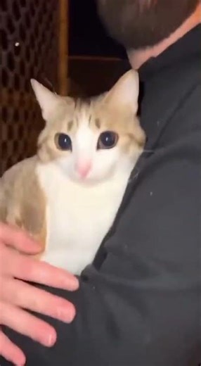 They Found This at Area 51 😳👽