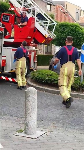 RESPECT, BRANDWEER VAN MAASEIK IN ACTIE TIJDENS DE HITTEGOLF! 🙏 #firefighters #brandweer #ambulance