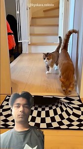 Tap on a clip to paste it in the text box.😚