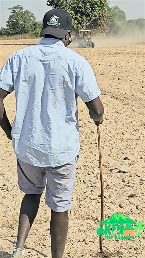 Demo farm setup ongoing in Northern Gambia to showcase our foliars. I believe in results you can see, not promises you hear. No guesswork! #kenthefarmermovement | Ken the farmer