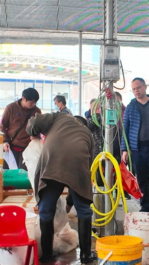 Discover China Life on Instagram: "Snakes 🐍 in China #china #snakes #food"