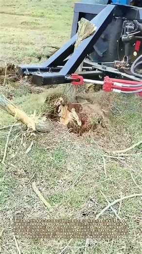 鉄の爪で断つ根：樹齢超える切り株を引き裂く