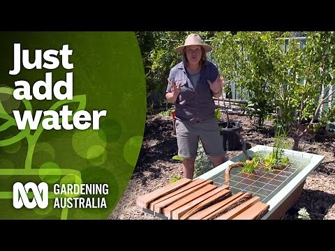 Put in a pond and diversify your garden | DIY garden projects | Gardening Australia