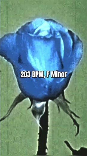 sample this #samplethis #sample #musicproducer
