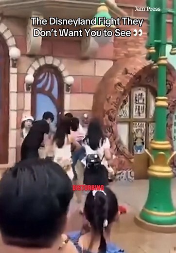 Disneyland Shanghai Fight: A Disturbing Incident