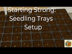Starting Strong: How to Use Seedling Trays for Gardening Success