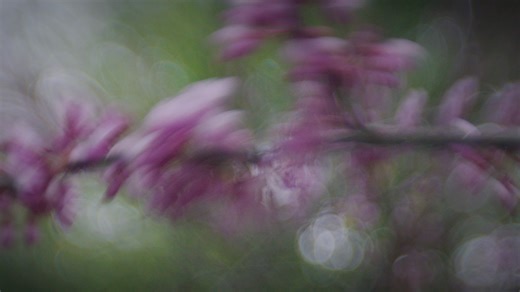 Exuvium Demo Reel_PRORES_2026