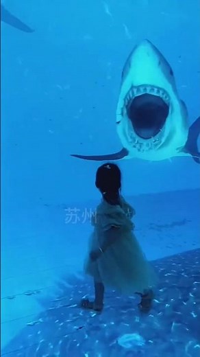 This Sci-Fi Room Will Blow Your Mind! ✨😱 Mirror Illusion World!”“Unbelievable Future-Tech Room! 🤯✨