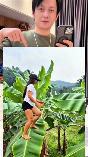 Crea vídeos con plantillas CapCut