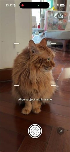 WordSticker: Photo-to-Word Stickers