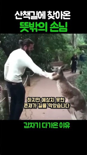 사람과 야생동물의 긴장감 넘치는 순간