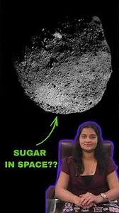 NASA Found the ‘Seeds of Life’ in an Asteroid