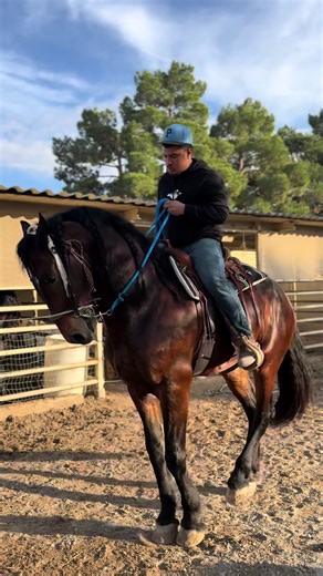 Discover Las Vegas Caballo Dancers