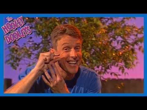 Red and Blue | The Hooley Dooleys