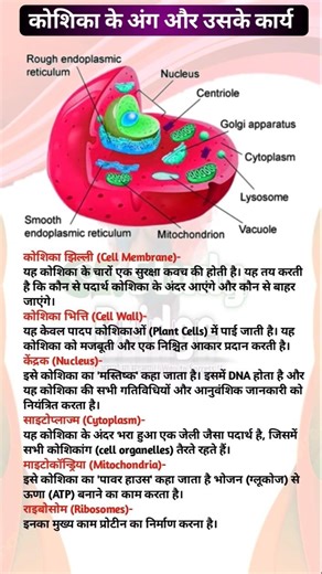 कोशिका विज्ञान की महत्वपूर्ण जानकारियां! Cell with trick ! Biology with tricks !! Functions of Cells