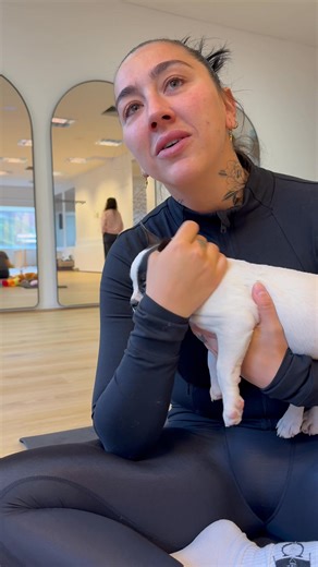 ✨ Puppy Yoga at Pawra.Yoga ✨ In this video, we’re at Pawra.Yoga, Port Melbourne, where our beautiful French Bulldog puppies bring smiles, laughter and pure relaxation to everyone who joins us. Meet our gorgeous Miss Gypsy, a stunning black and white pied girl with microchip number 956000017407161. She’s looking for a loving family to call her very own — affectionate, playful, and full of personality. 🐾 Why Puppy Yoga is so special: Puppy Yoga isn’t just for people — it’s incredible for the pupp