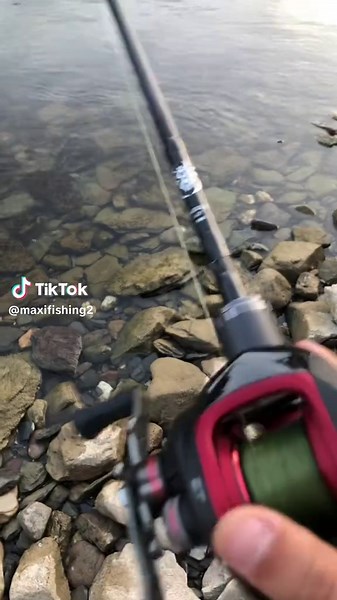 @Fishingphilipp #angeln#zander#baitcast#fische