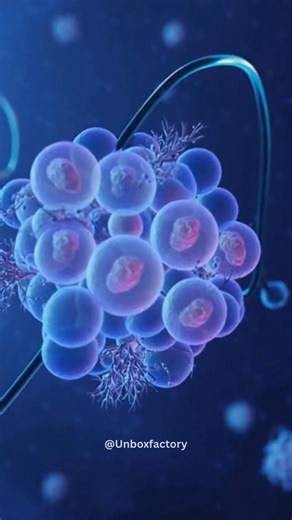 Elon Musk Jokes He’s a 3,000-Year-Old Time-Traveling Alien Tech billionaire Elon Musk once sparked viral curiosity by joking that he is a 3,000-year-old time-traveling alien trying to return to his home planet. The statement, made humorously online, quickly spread across social media and pop culture discussions. While clearly satire, the comment reflects Musk’s reputation for embracing internet culture, memes, and unconventional humor—often blurring the line between seriousness and playfulness i