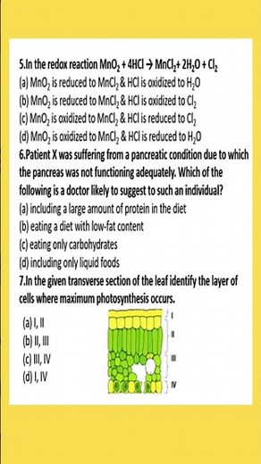 CBSE HALF YEARLY EXAM | CLASS 10 SCIENCE SAMPLE PAPER | CBSE 2025-26