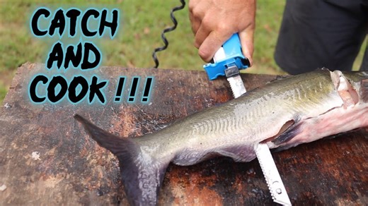 Channel Catfish Catch and Cook Tips Everyone Should Try