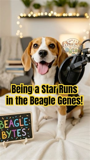 Fun Fact: Snoopy is a Beagle! 🐶✨