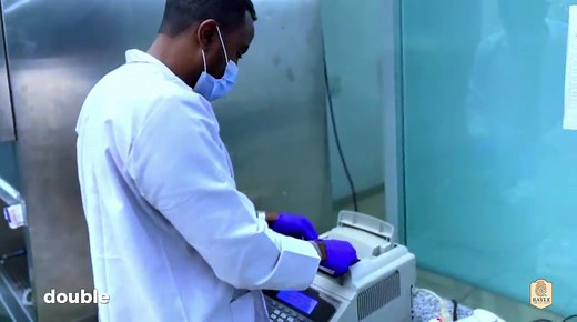 Forensic DNA Analysis: A Step-By-Step Guide