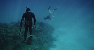 The Complete Beginner's Guide to Spearfishing