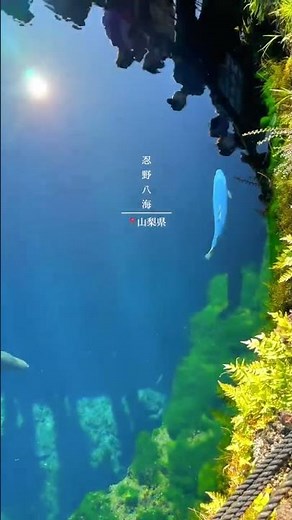 【山梨・絶景】個人的に晴れた日の山梨旅行で絶対に行くべき絶景スポット！！