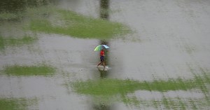 Malaysian floods affect 11,000 people across 7 states