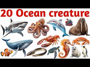 समुद्री जानवर सीखें बच्चों के लिए|Learn 20 Sea Animal Names for Kids with Pictures and Easy Learning