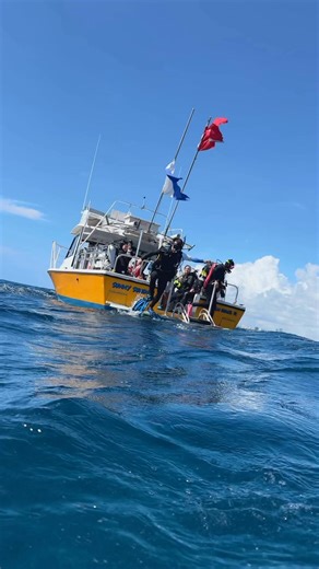 2.4K views · 52 reactions | Congrats to Peter, he earned his Open Water certification with Force-E Instructor Nikole and check out the cool things they saw! Thanks @OceanQuest for the dives! #southflorida #scuba #scubadiving #scubagear #scubalessons #divelife #saltlife | Force-E Scuba Centers | Facebook